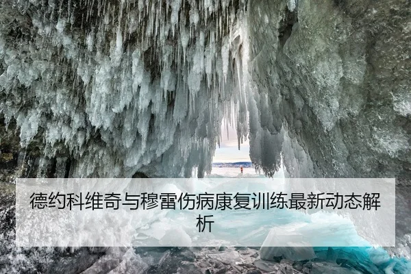 德约科维奇与穆雷伤病康复训练最新动态解析